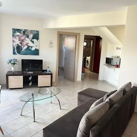 Endless Blue Garden *